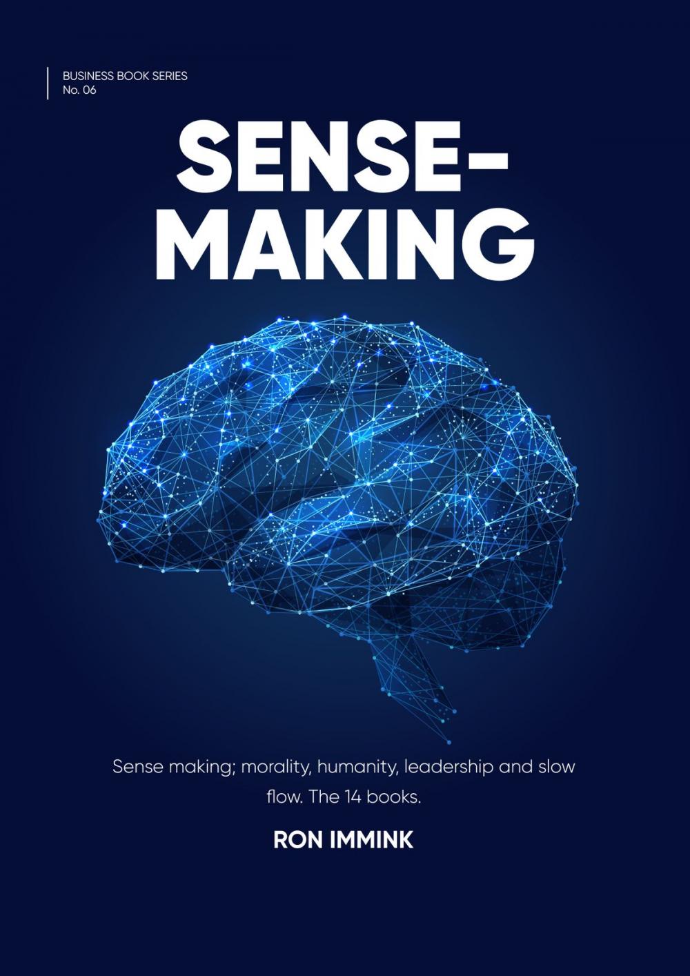 Big bigCover of Sense-making