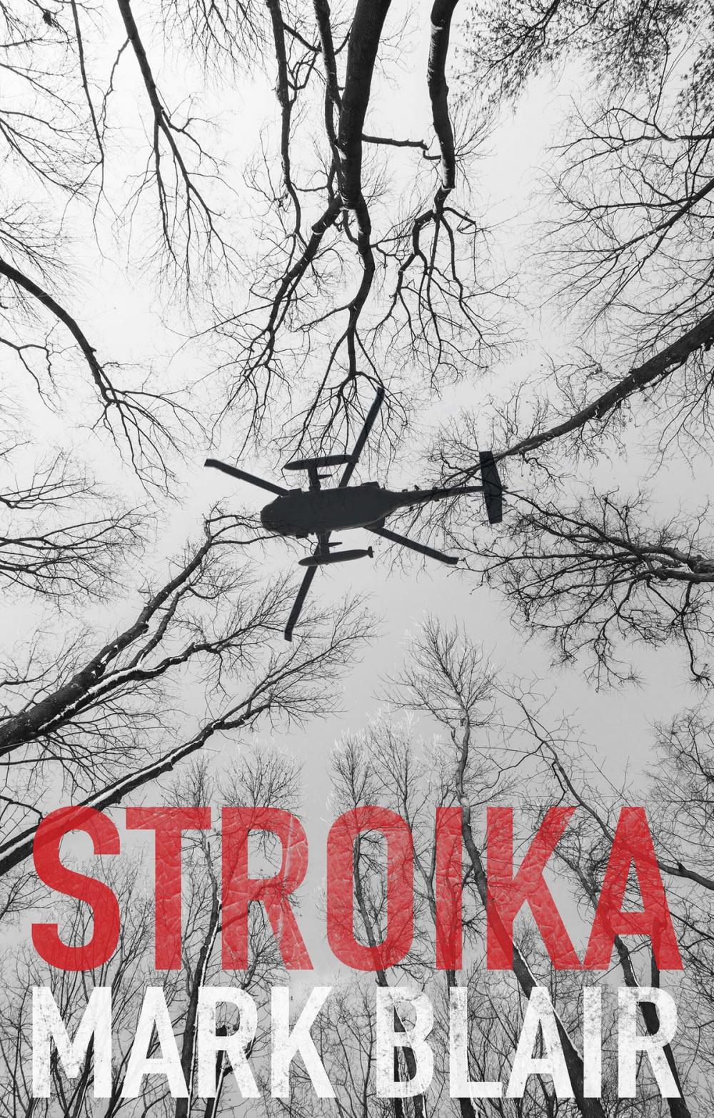 Big bigCover of Stroika