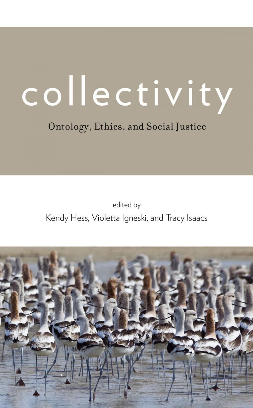 Big bigCover of Collectivity