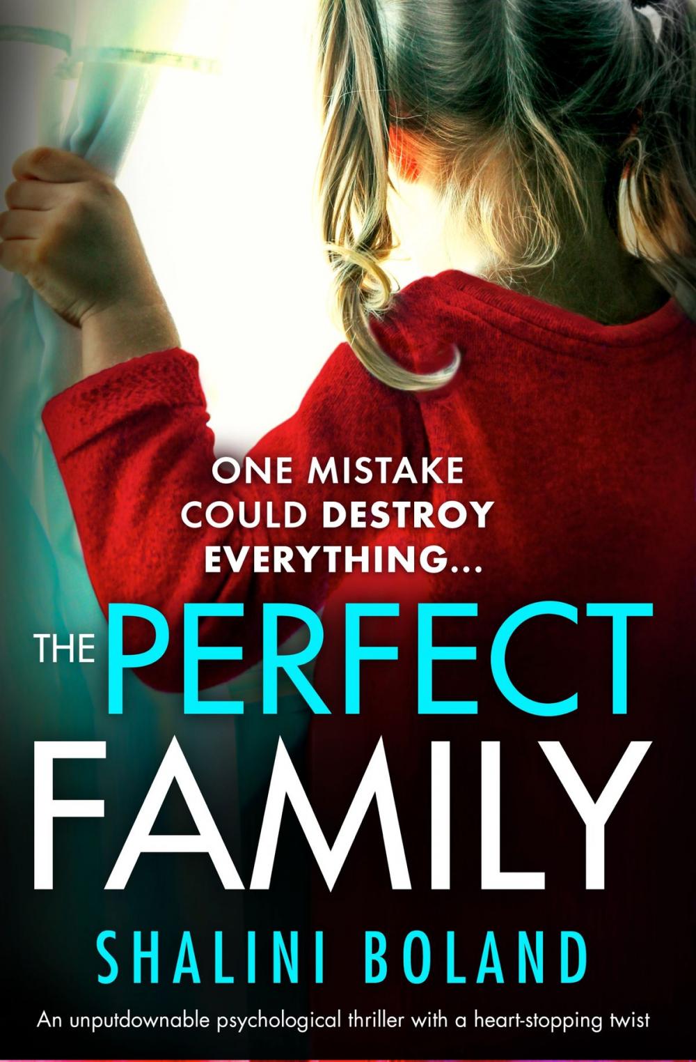 Big bigCover of The Perfect Family