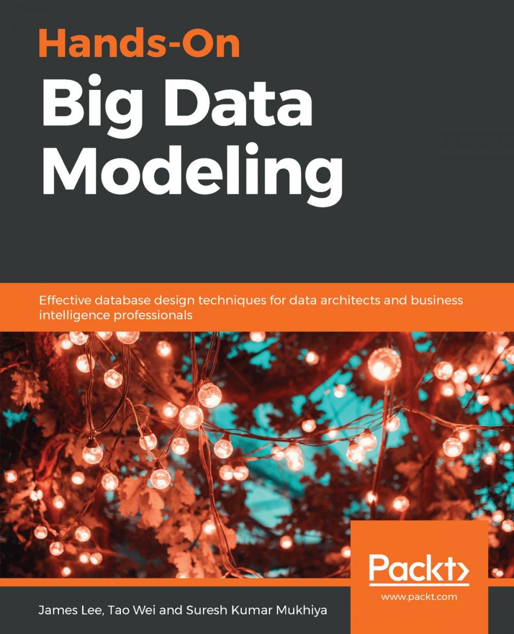 Big bigCover of Hands-On Big Data Modeling