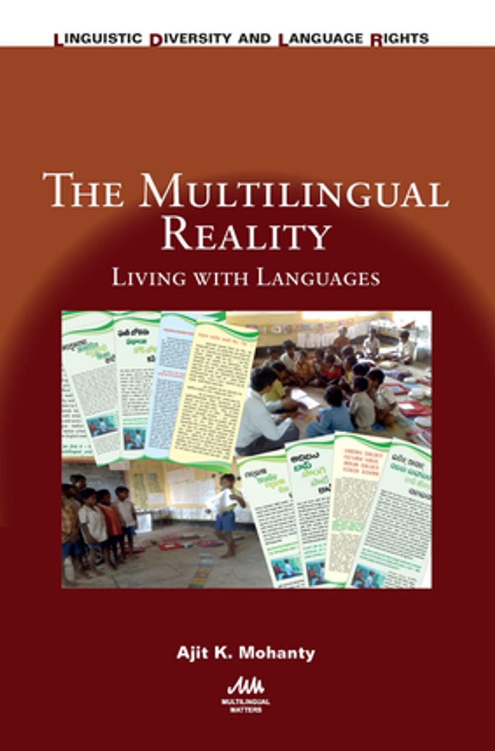 Big bigCover of The Multilingual Reality