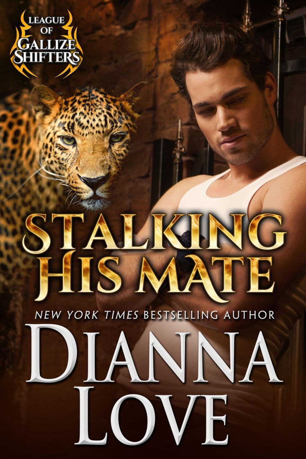 Big bigCover of Stalking His Mate: League Of Gallize Shifters