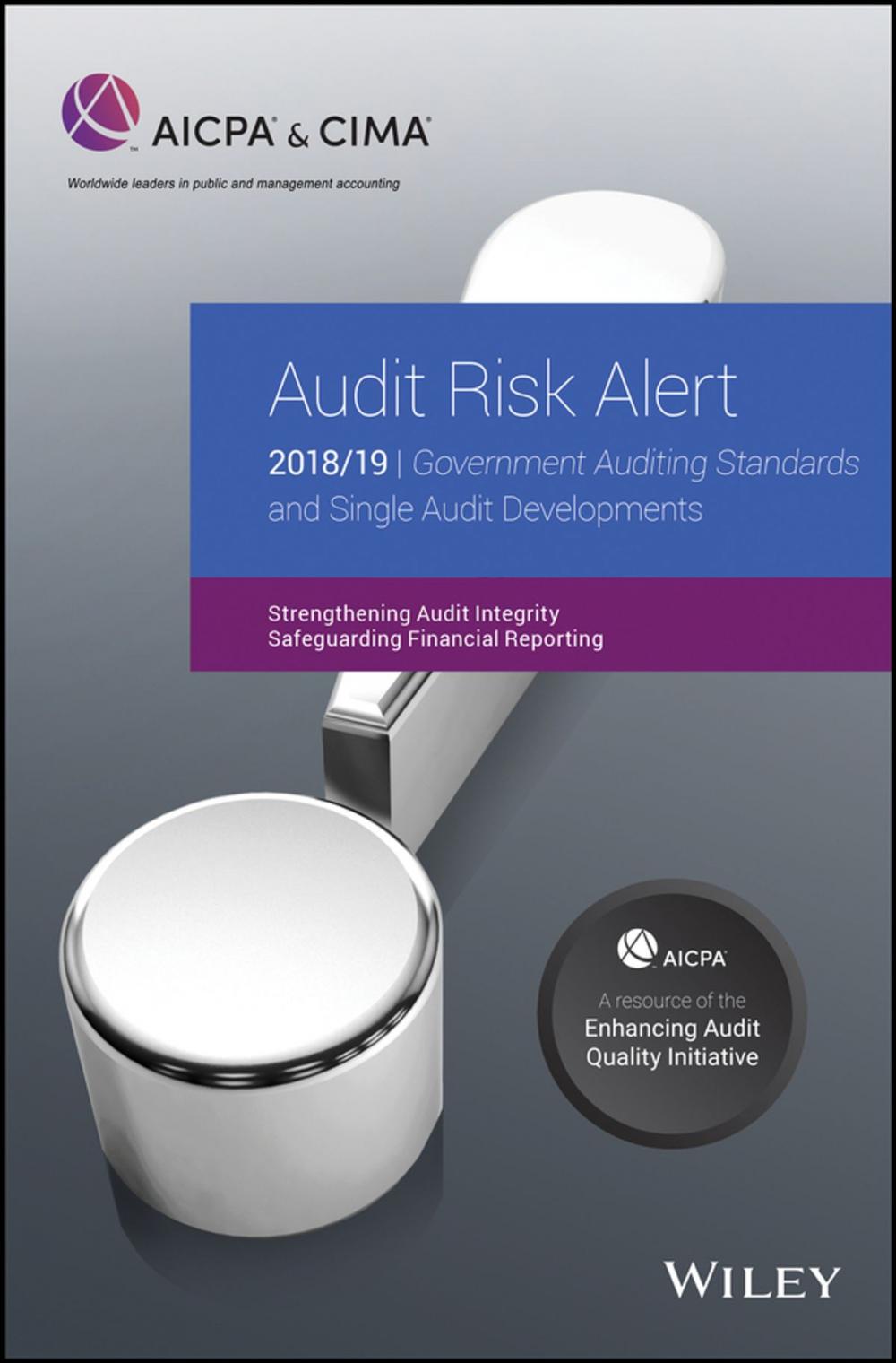 Big bigCover of Audit Risk Alert