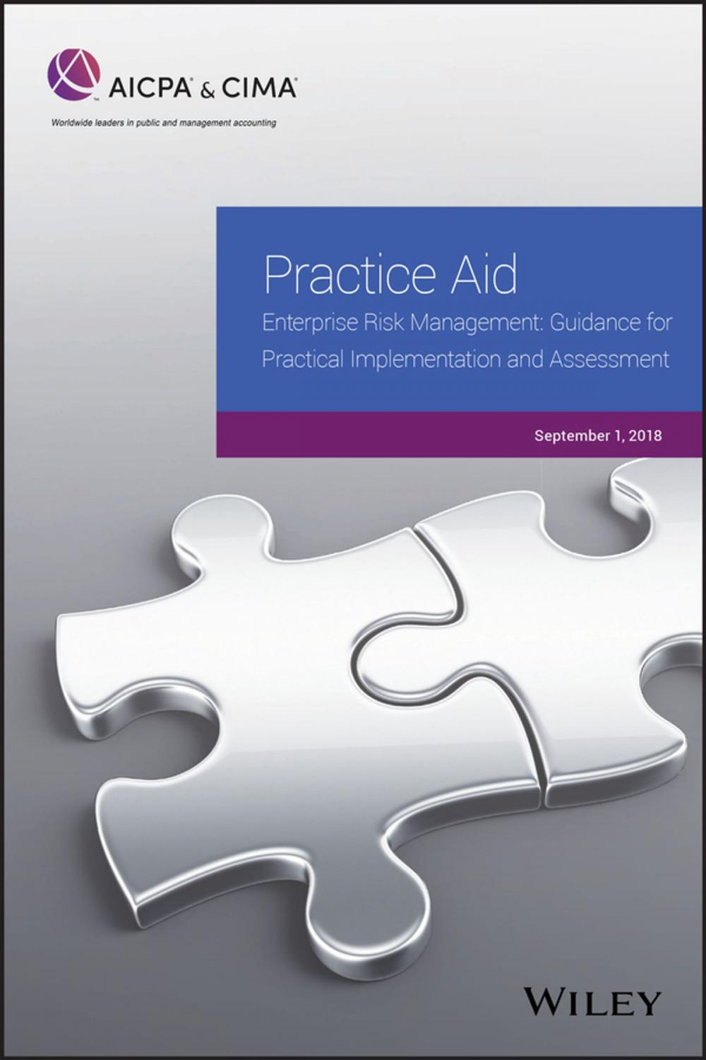 Big bigCover of Practice Aid: Enterprise Risk Management