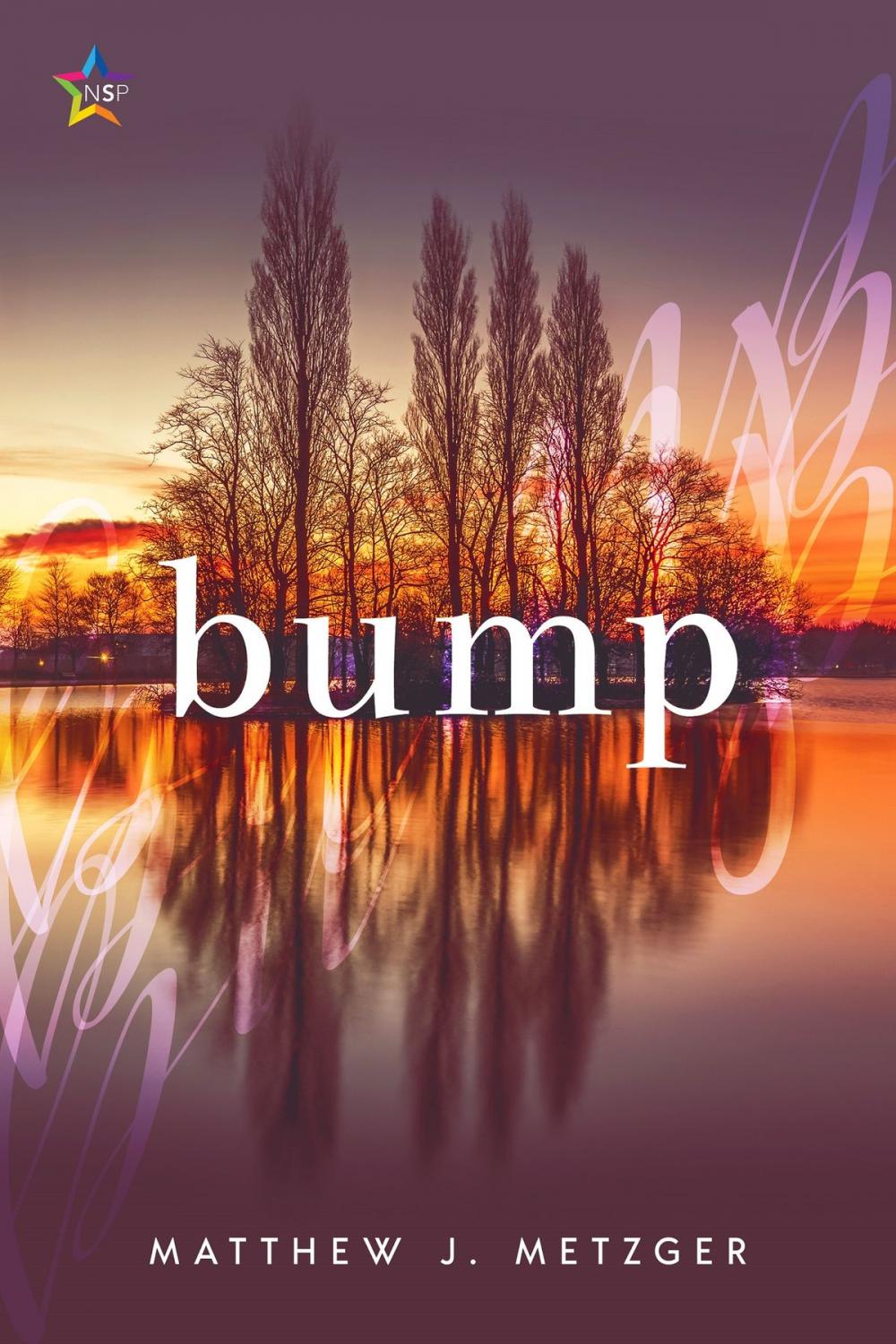 Big bigCover of Bump