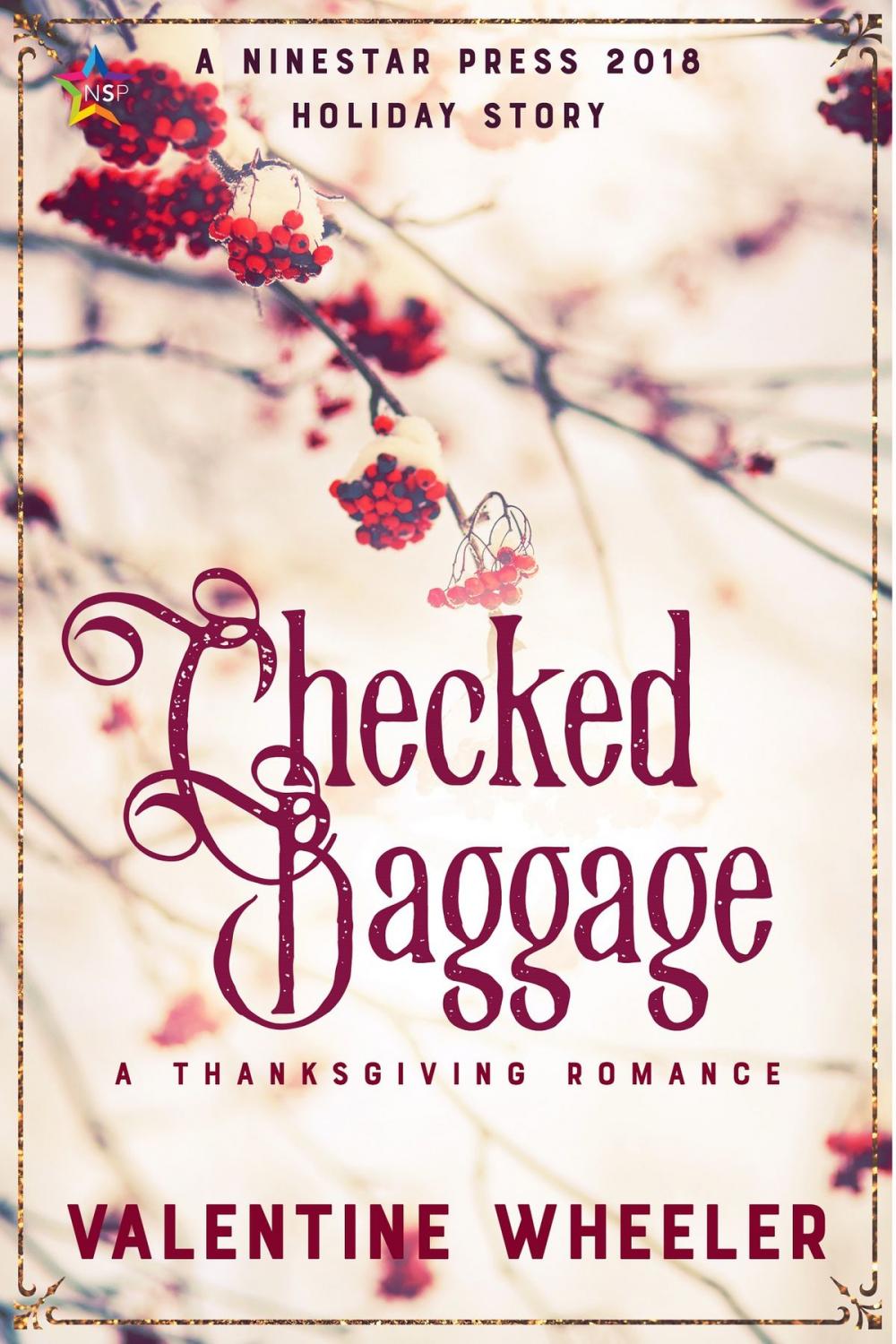 Big bigCover of Checked Baggage