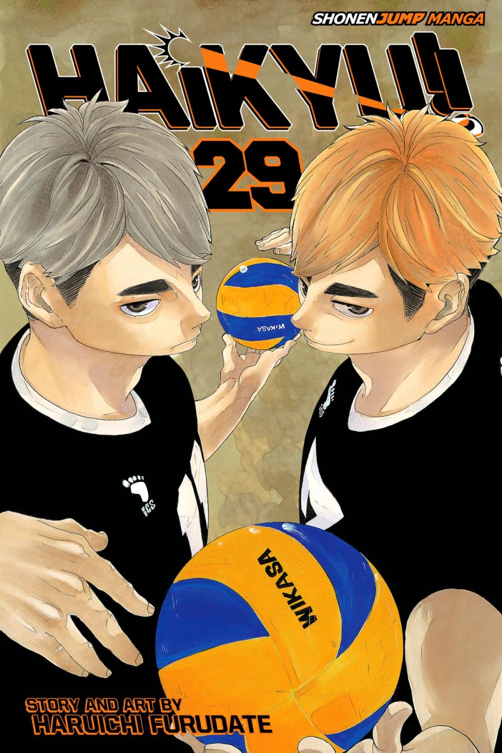 Big bigCover of Haikyu!!, Vol. 29