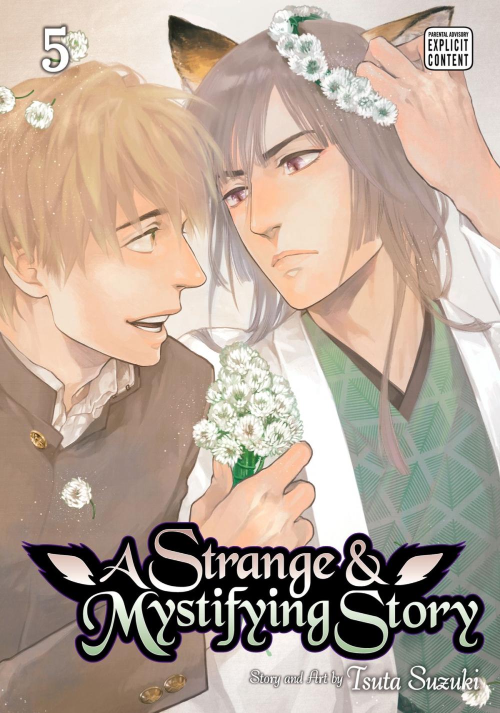 Big bigCover of A Strange and Mystifying Story, Vol. 5 (Yaoi Manga)