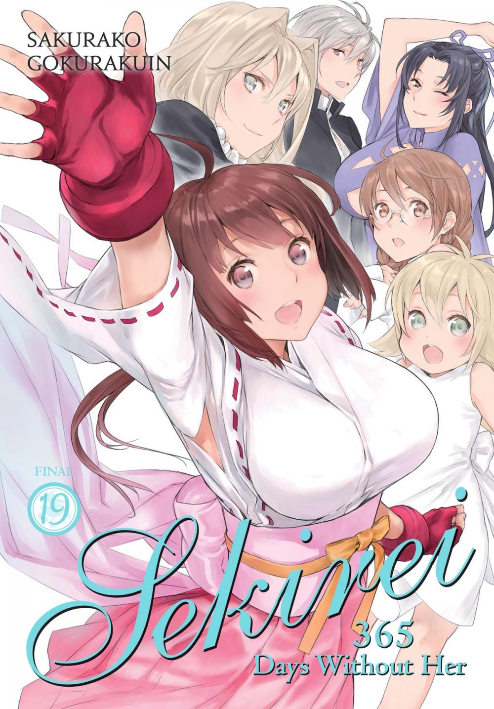 Big bigCover of Sekirei, Vol. 19