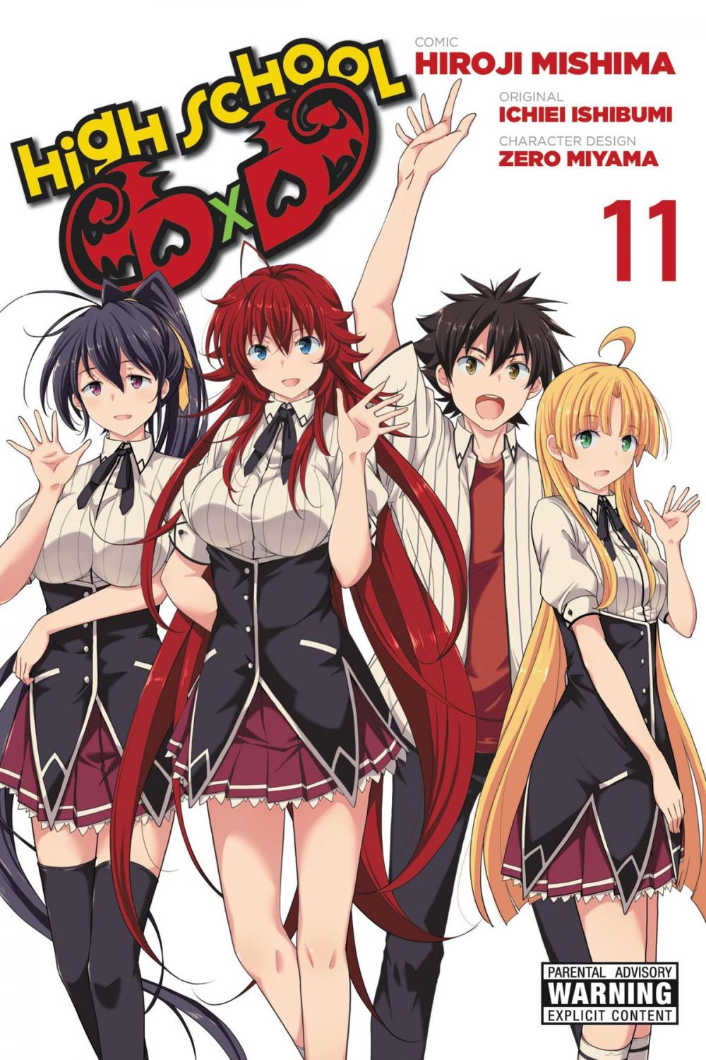 Big bigCover of High School DxD, Vol. 11