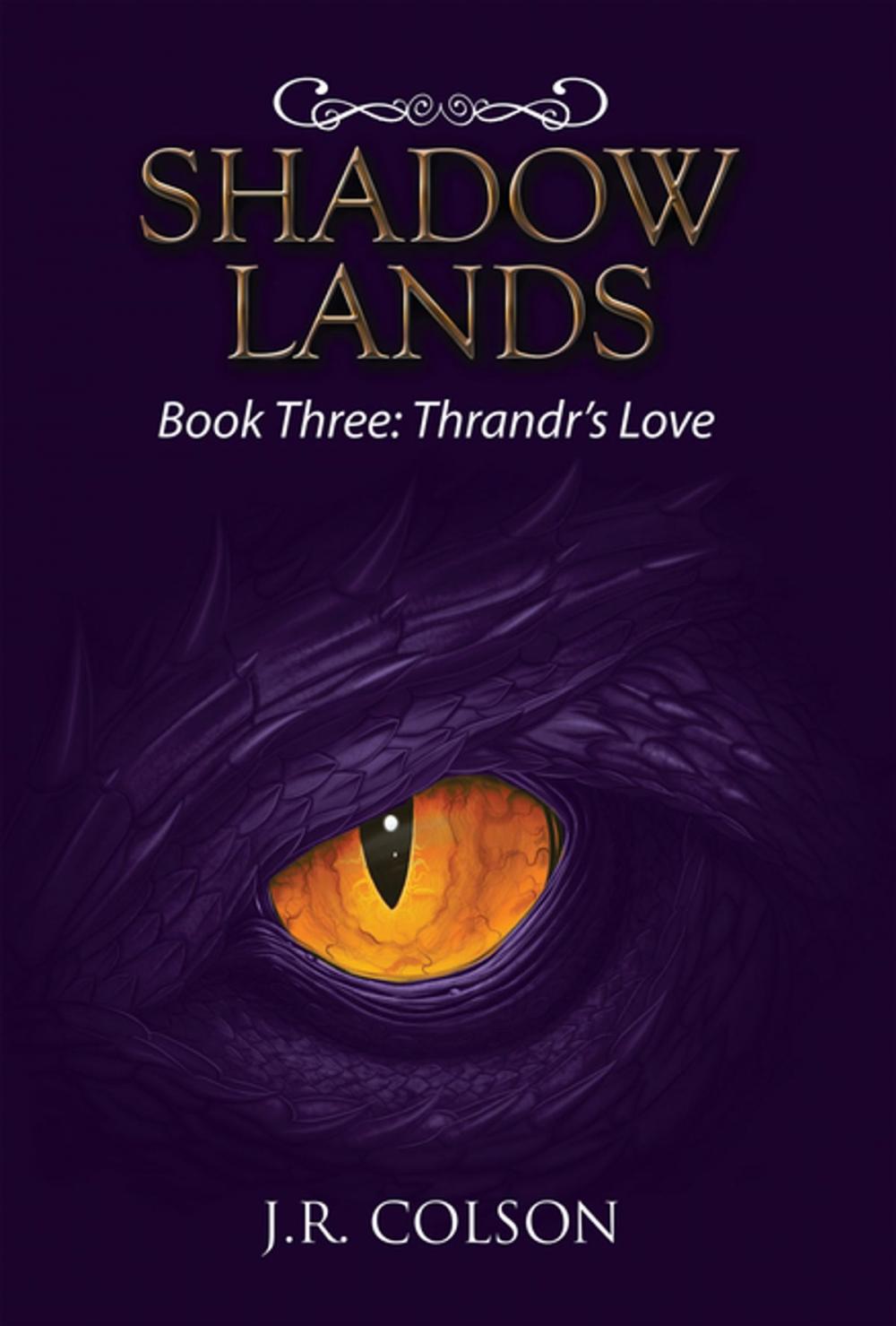 Big bigCover of Shadow Lands