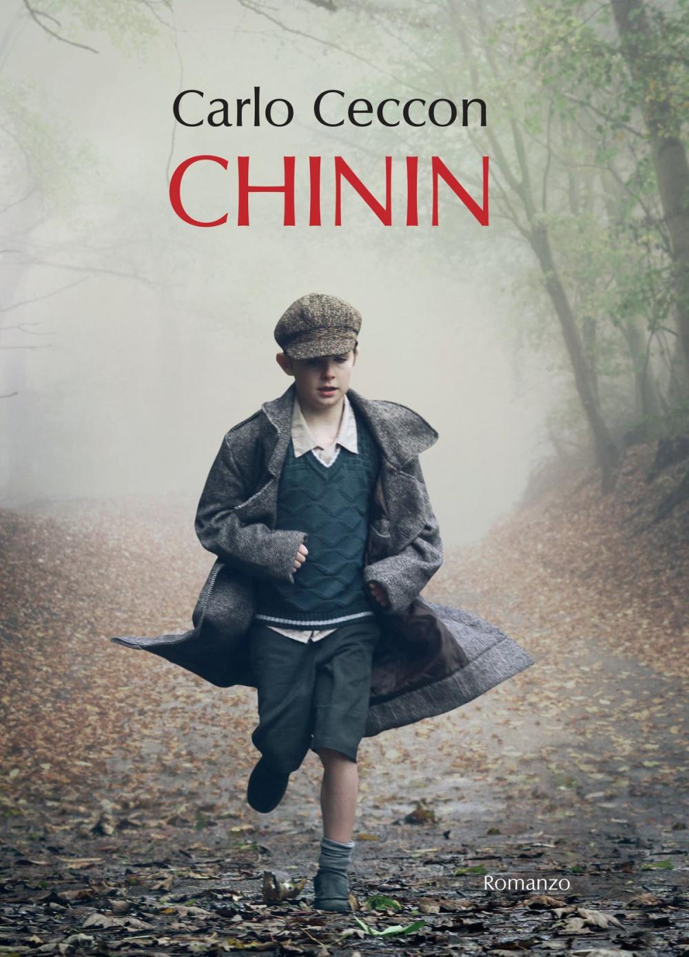 Big bigCover of Chinin