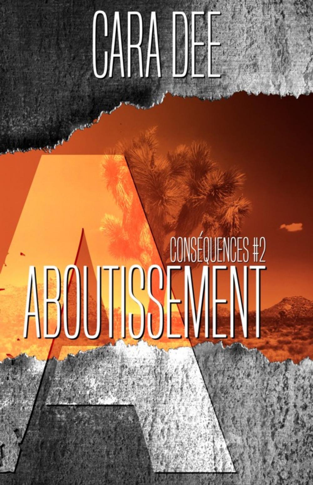 Big bigCover of Aboutissement