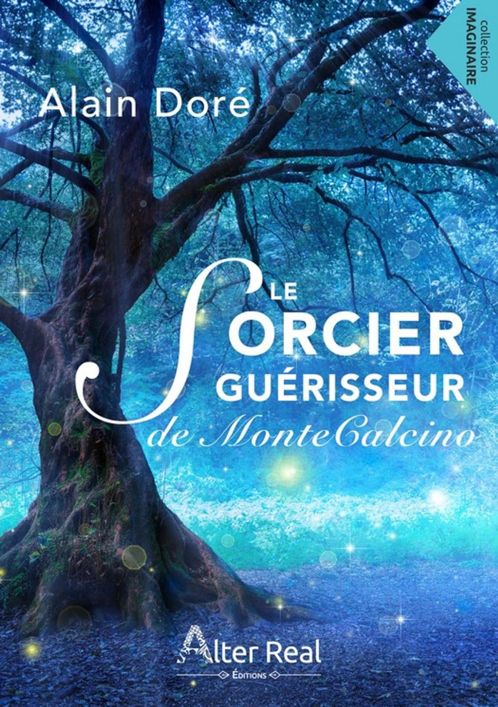 Big bigCover of Le sorcier guérisseur de Montecalcino