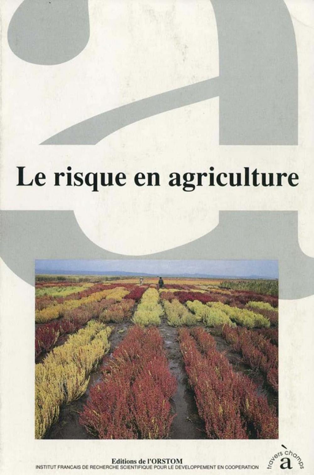 Big bigCover of Le risque en agriculture