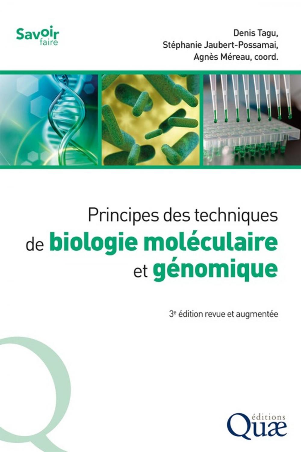 Big bigCover of Principes des techniques de biologie moléculaire et génomique