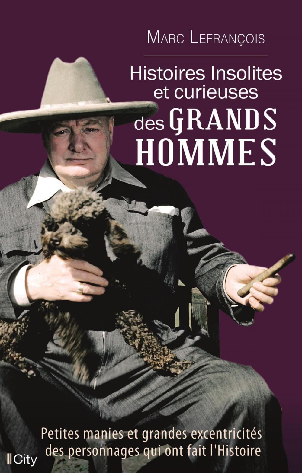 Big bigCover of Histoires insolites et curieuses des grands hommes