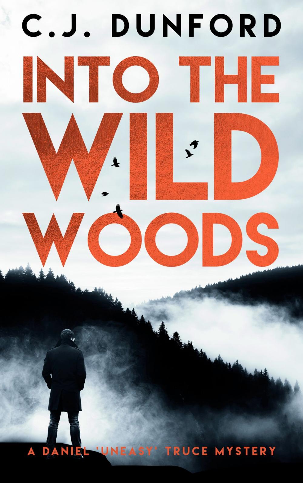 Big bigCover of Into the Wild Woods