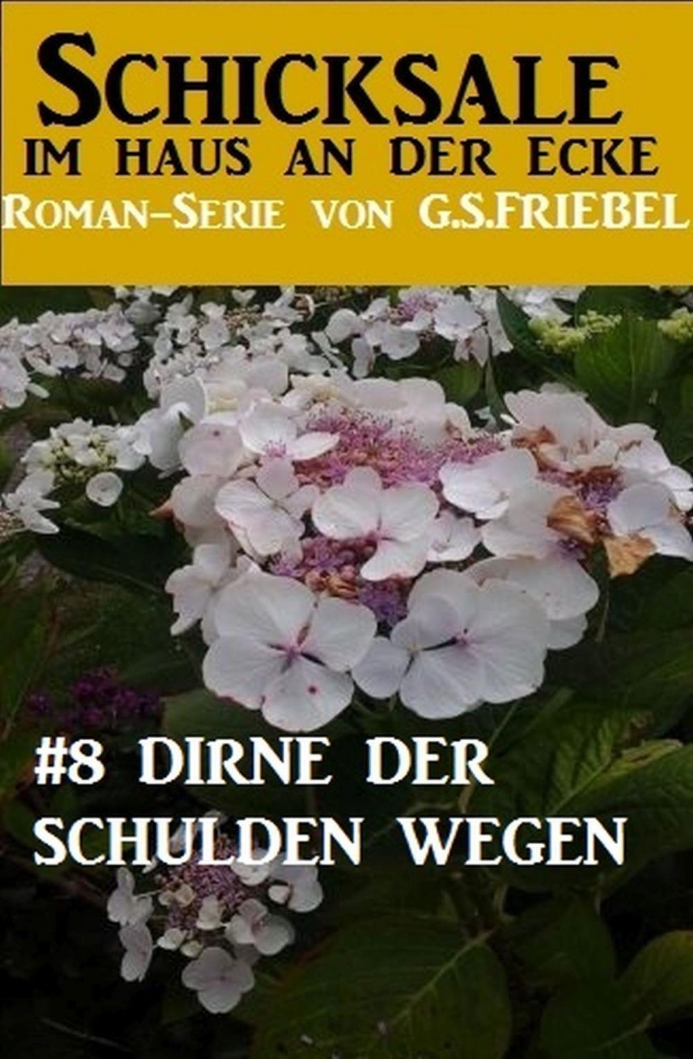 Big bigCover of Schicksale im Haus an der Ecke #8: Dirne der Schulden wegen