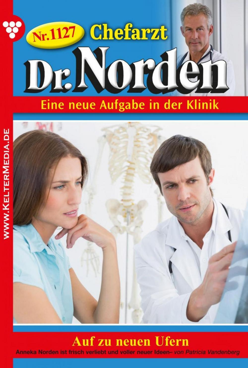 Big bigCover of Chefarzt Dr. Norden 1127 – Arztroman