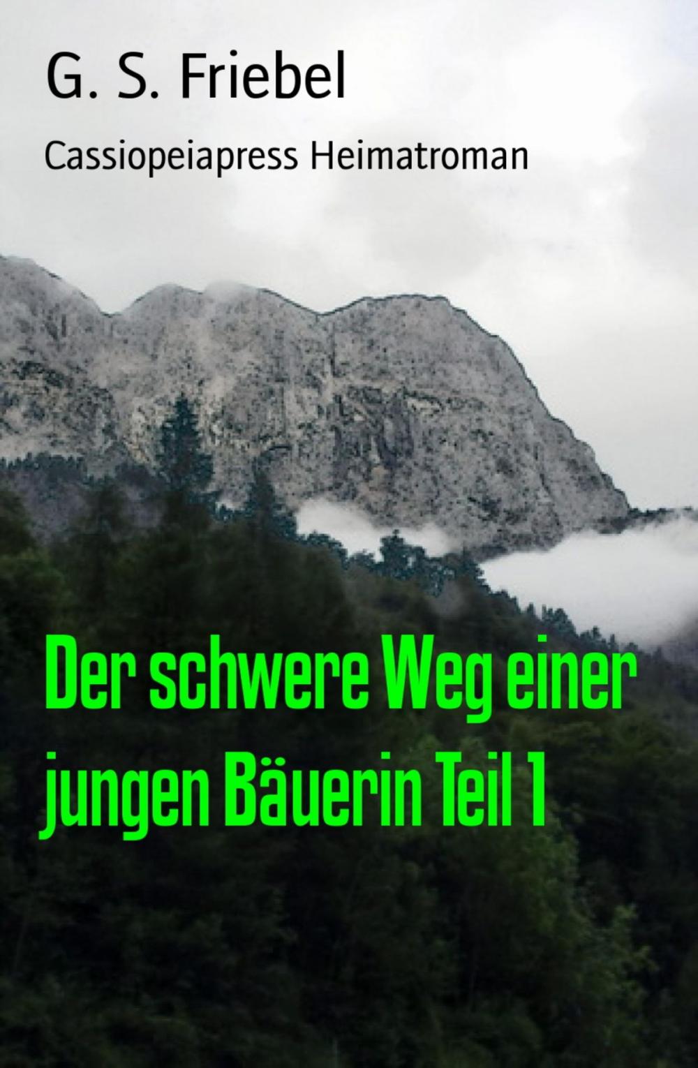 Big bigCover of Der schwere Weg einer jungen Bäuerin Teil 1