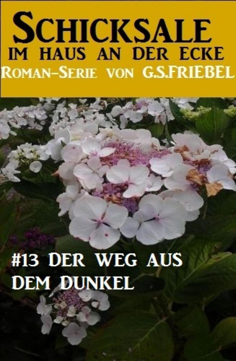 Big bigCover of Schicksale im Haus an der Ecke #13: Der Weg aus dem Dunkel