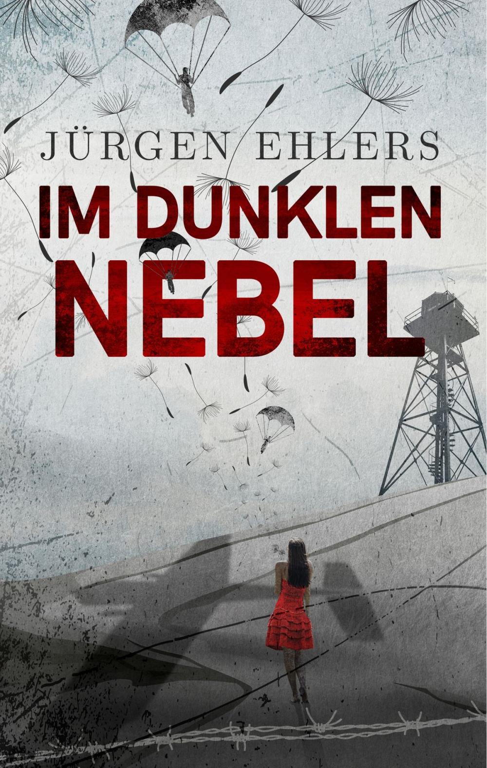 Big bigCover of Im dunklen Nebel