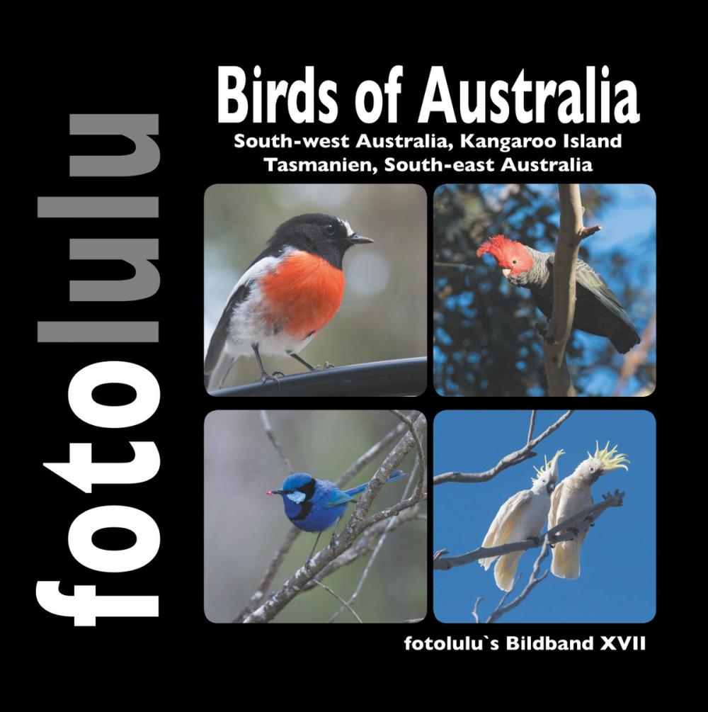 Big bigCover of Birds of Australia