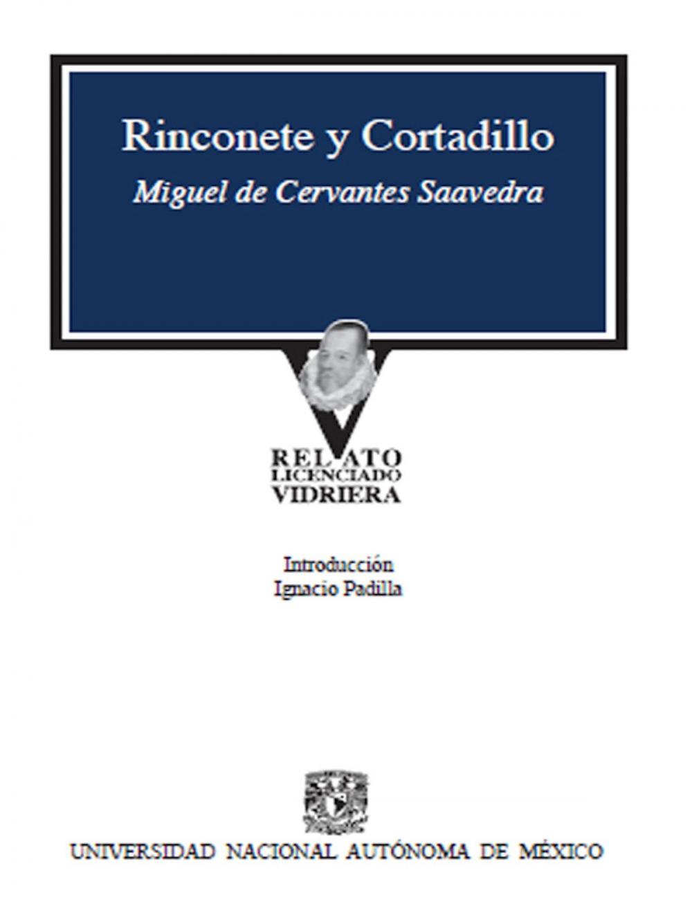 Big bigCover of Rinconete y Cortadillo