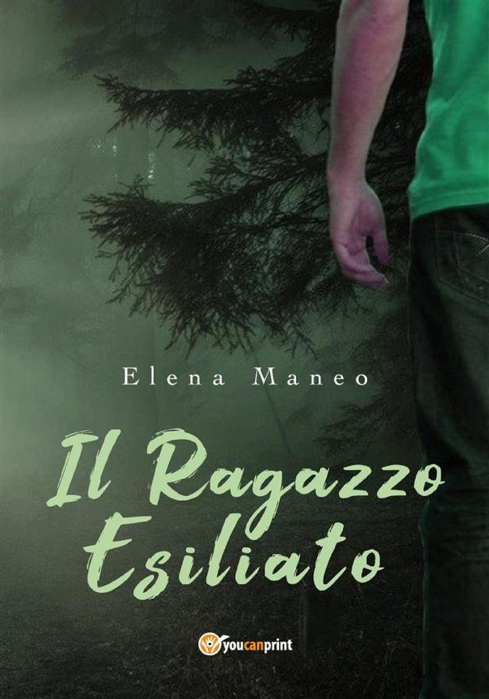 Big bigCover of Il ragazzo esiliato