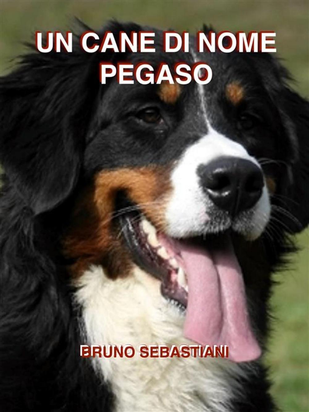 Big bigCover of Un cane di nome Pegaso