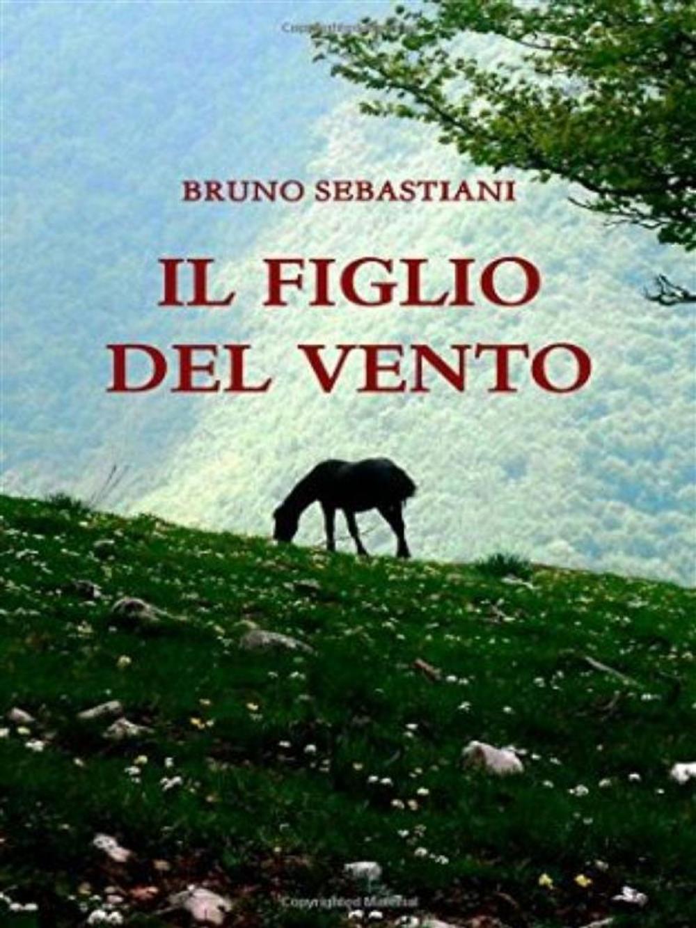 Big bigCover of Il figlio del vento