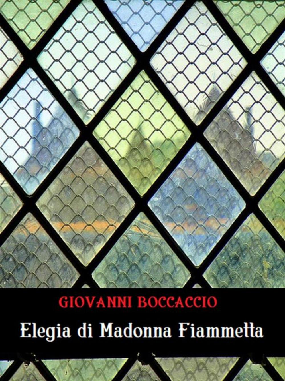 Big bigCover of Elegia di Madonna Fiammetta