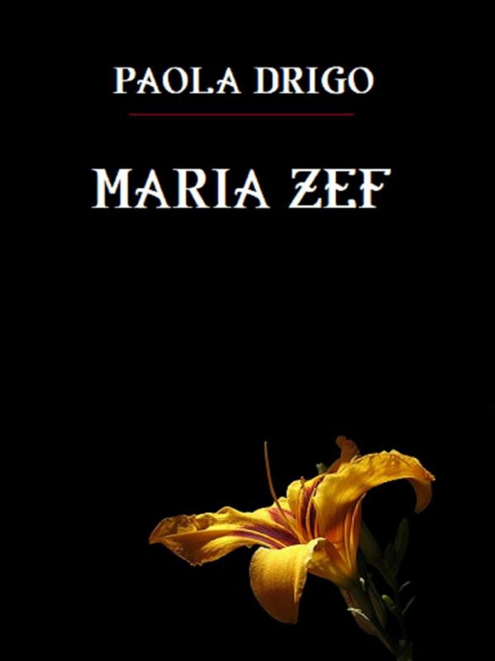 Big bigCover of Maria Zef