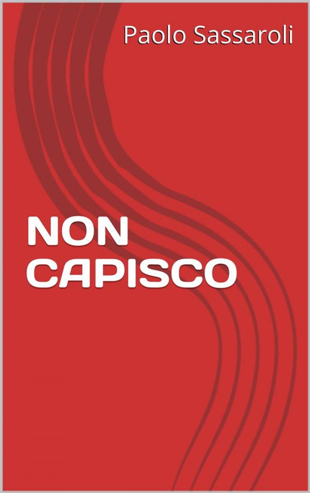 Big bigCover of Non capisco