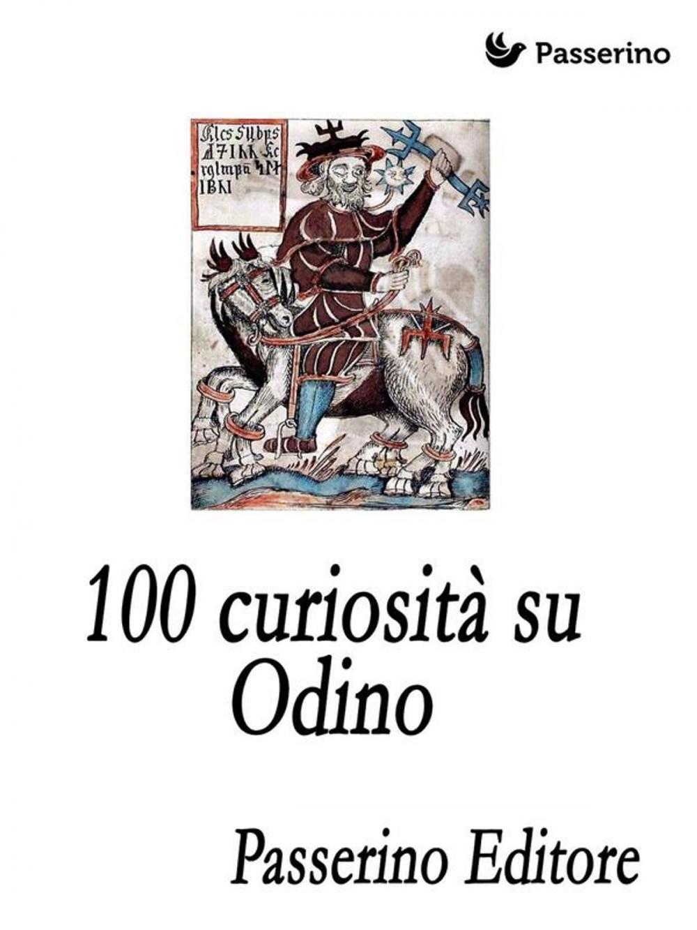 Big bigCover of 100 curiosità su Odino