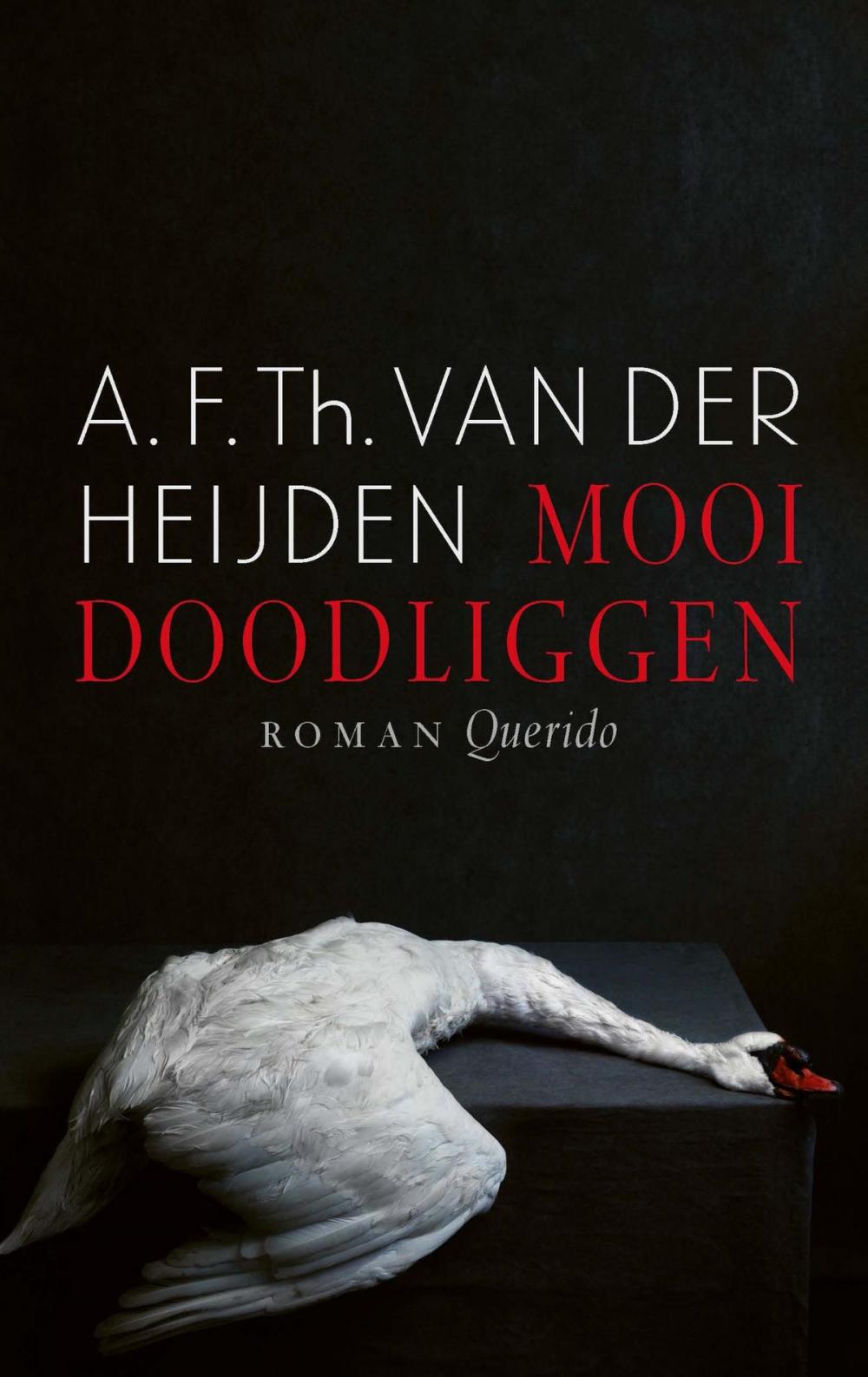 Big bigCover of Mooi doodliggen