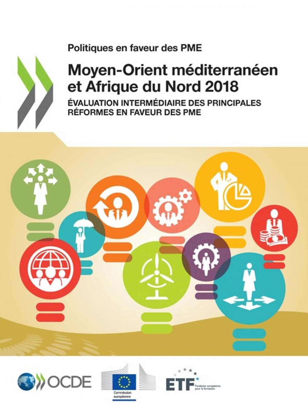 Big bigCover of Politiques en faveur des PME : Moyen-Orient méditerranéen et Afrique du Nord 2018