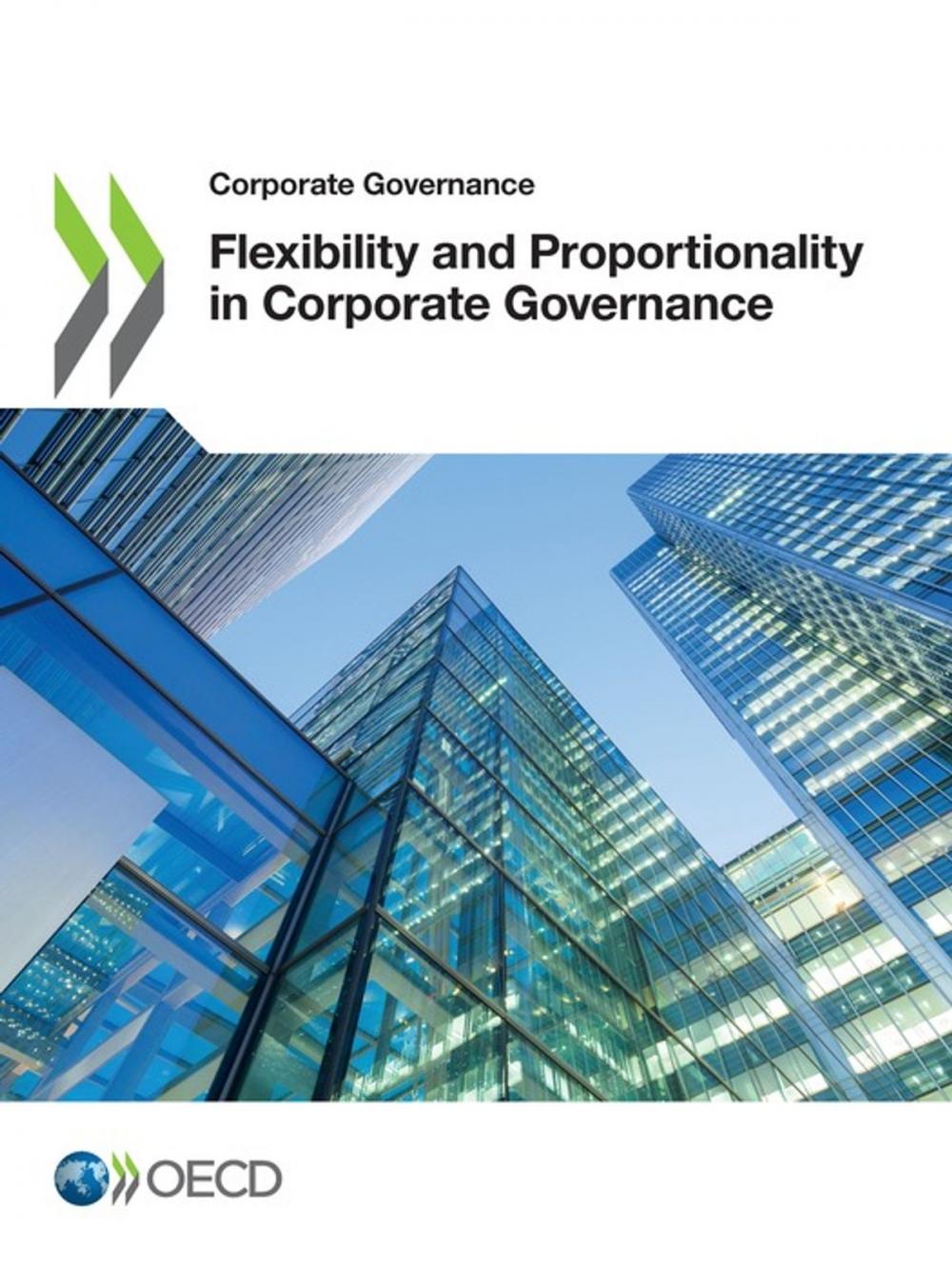 Big bigCover of Flexibility and Proportionality in Corporate Governance