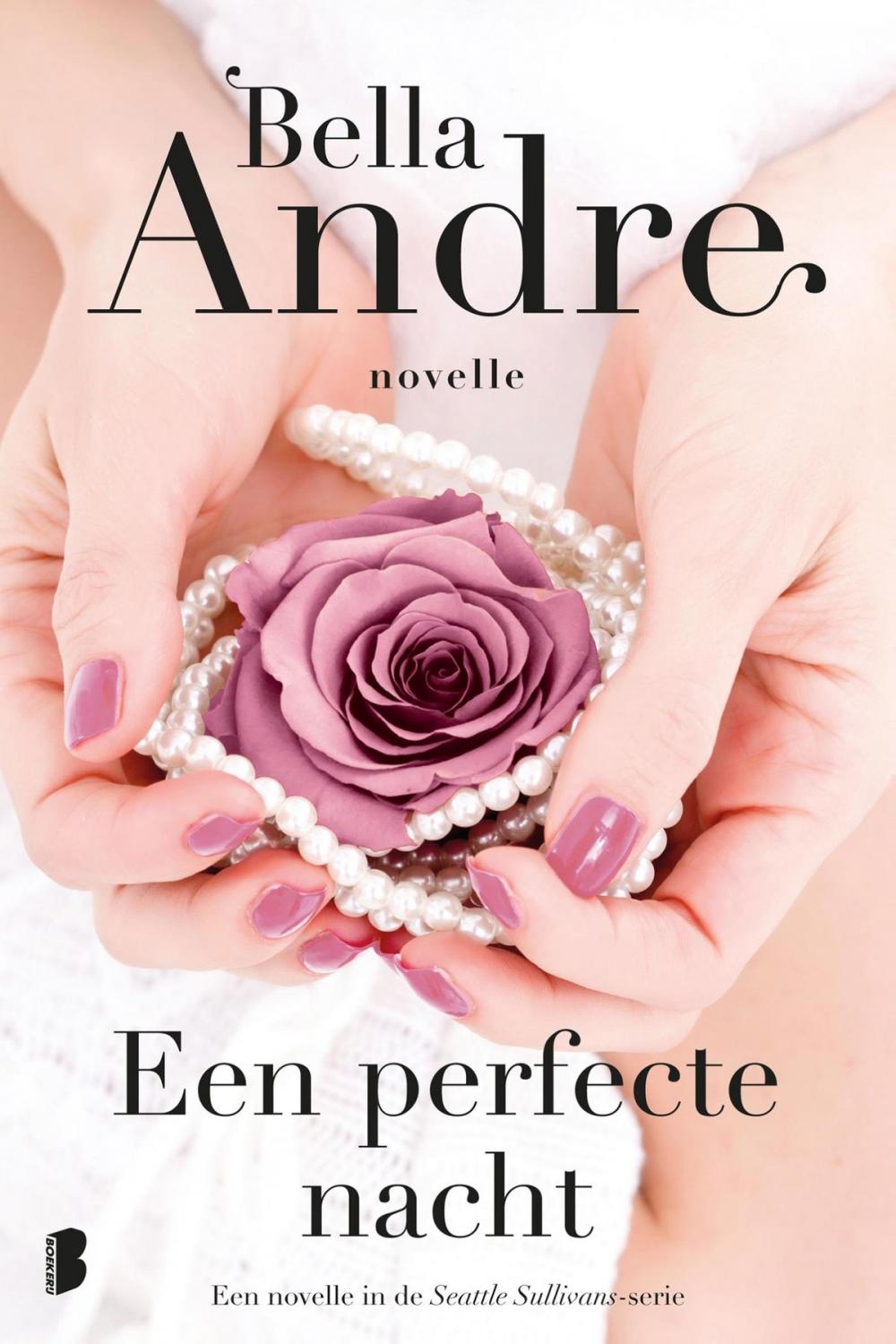 Big bigCover of Een perfecte nacht