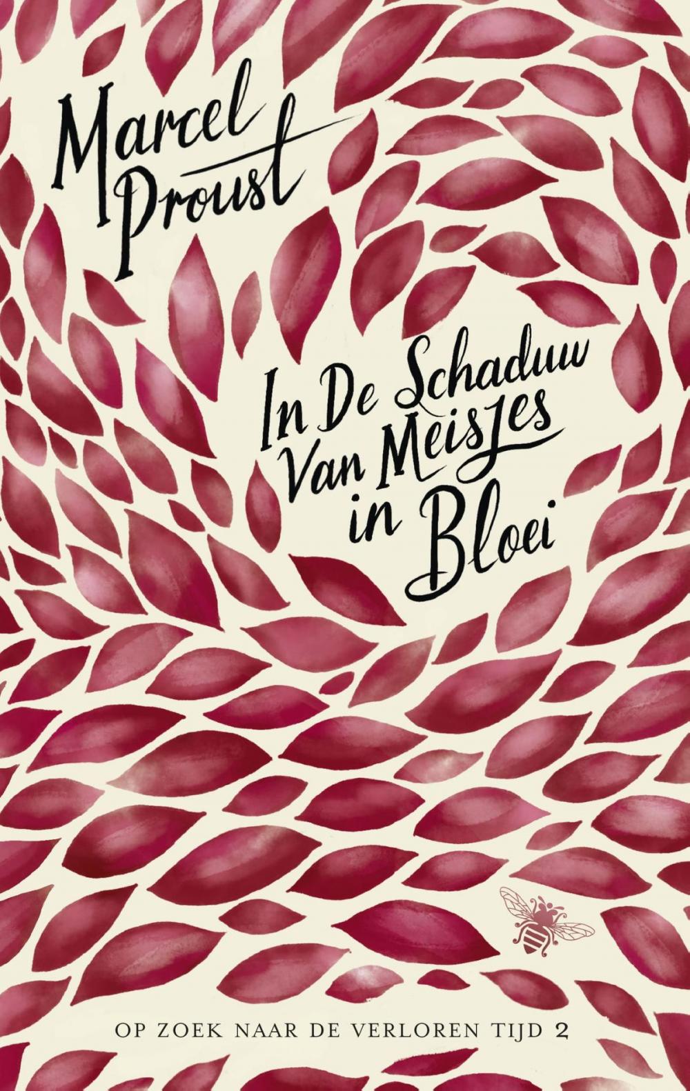 Big bigCover of In de schaduw van meisjes in bloei