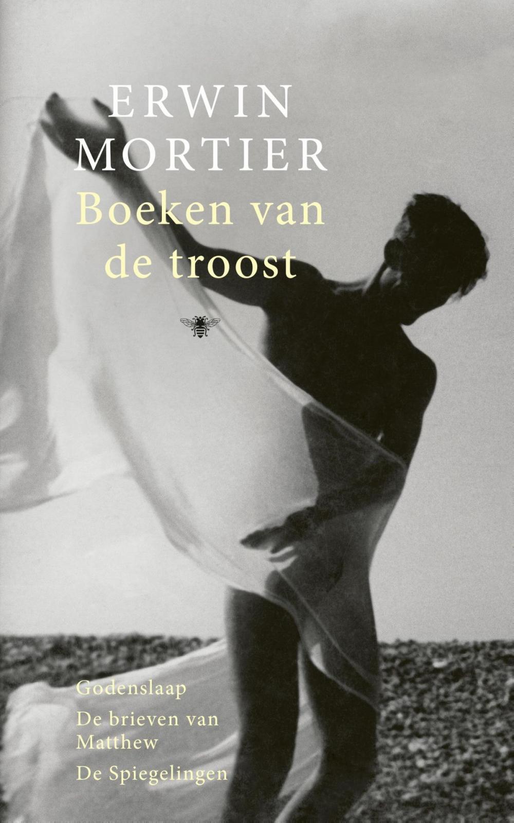 Big bigCover of Boeken van de troost