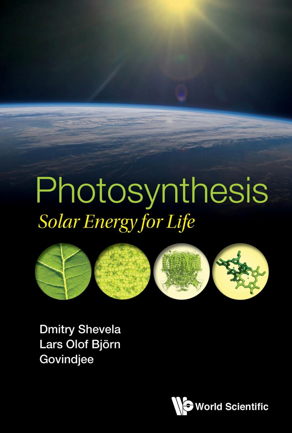 Big bigCover of Photosynthesis