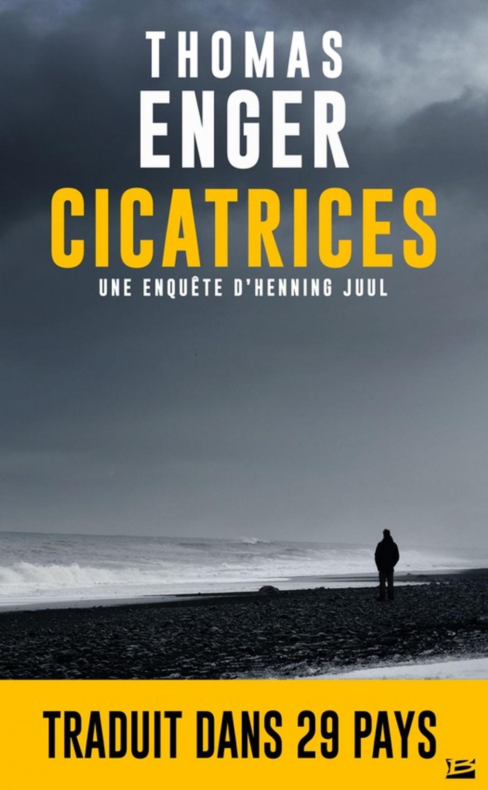 Big bigCover of Cicatrices