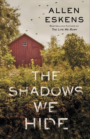 Cover of the book The Shadows We Hide by James Patterson, Lisa Papademetriou