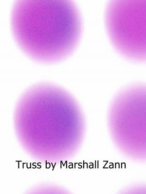 Cover of the book Truss by Chris Deslauriers