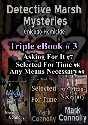 Cover of the book Detective Marsh Mysteries Triple eBook #3 by David P Perlmutter