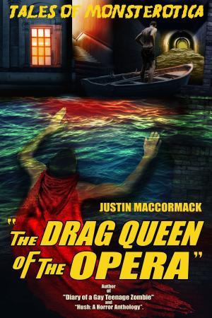 Cover of the book The Drag Queen of the Opera by Storm Stone