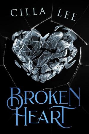 Cover of the book Broken Heart by Quinn Truehart